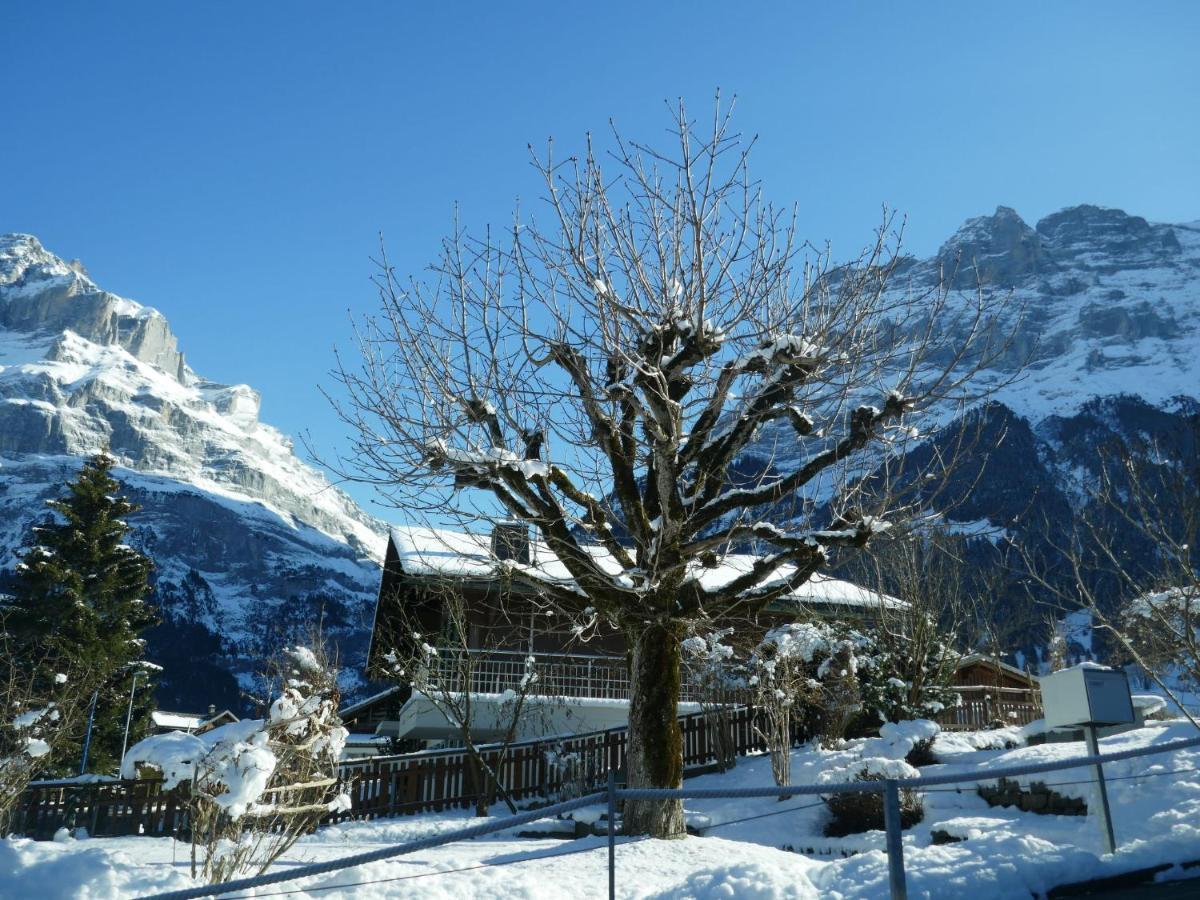 Apartment Chalet Anna By Interhome Grindelwald Exterior foto